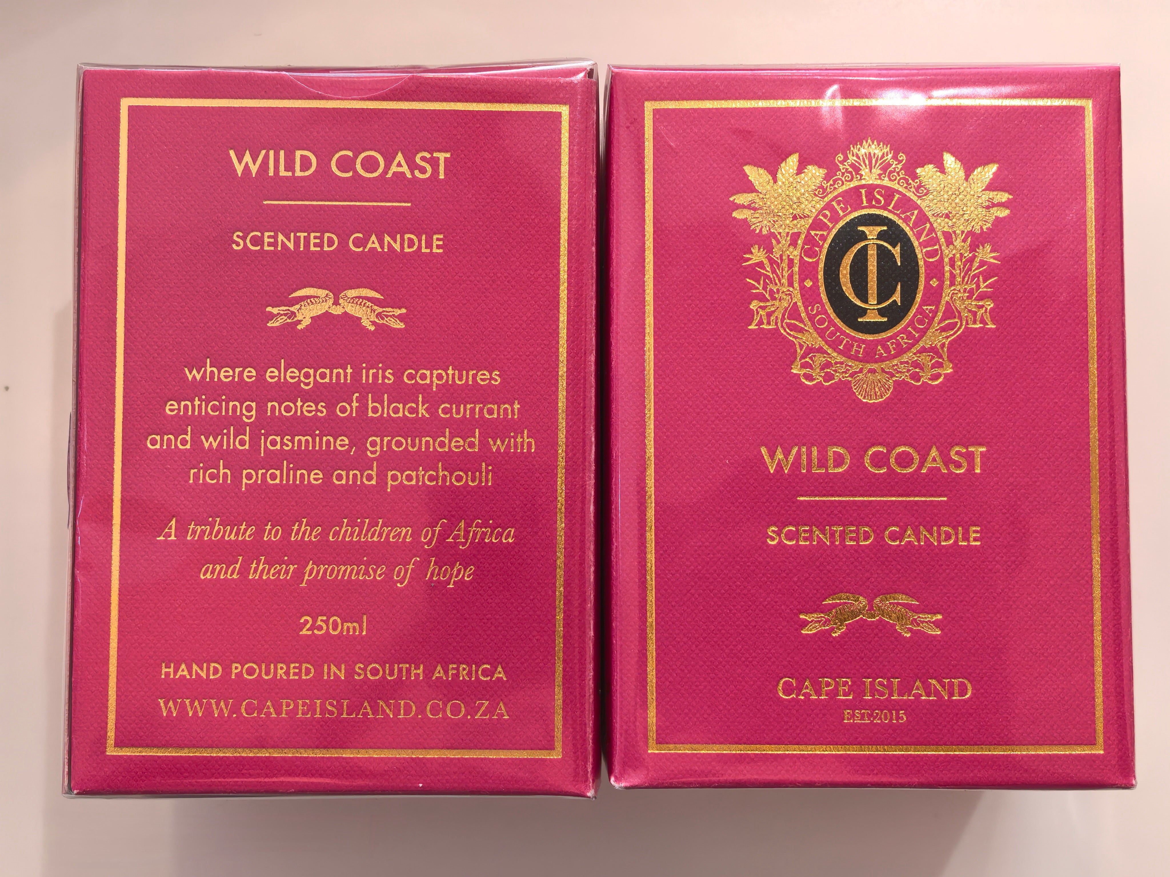 Cape Island Wild Coast Candle Medium